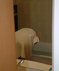 Showering Voyers